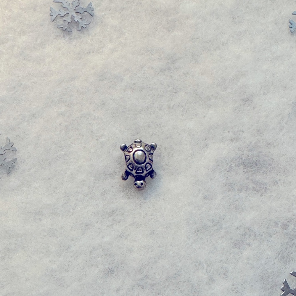 Pandora charm